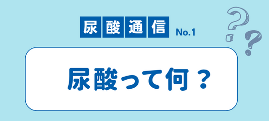 尿酸って何？
